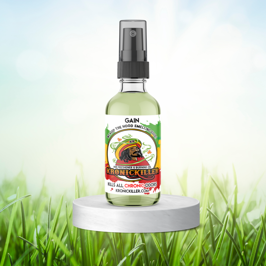 Gain Air Freshener Air Freshener & Burning Oil ™