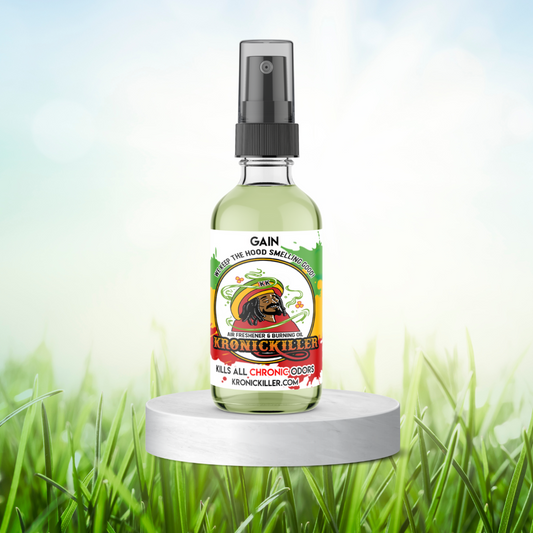 Gain Air Freshener Air Freshener & Burning Oil ™